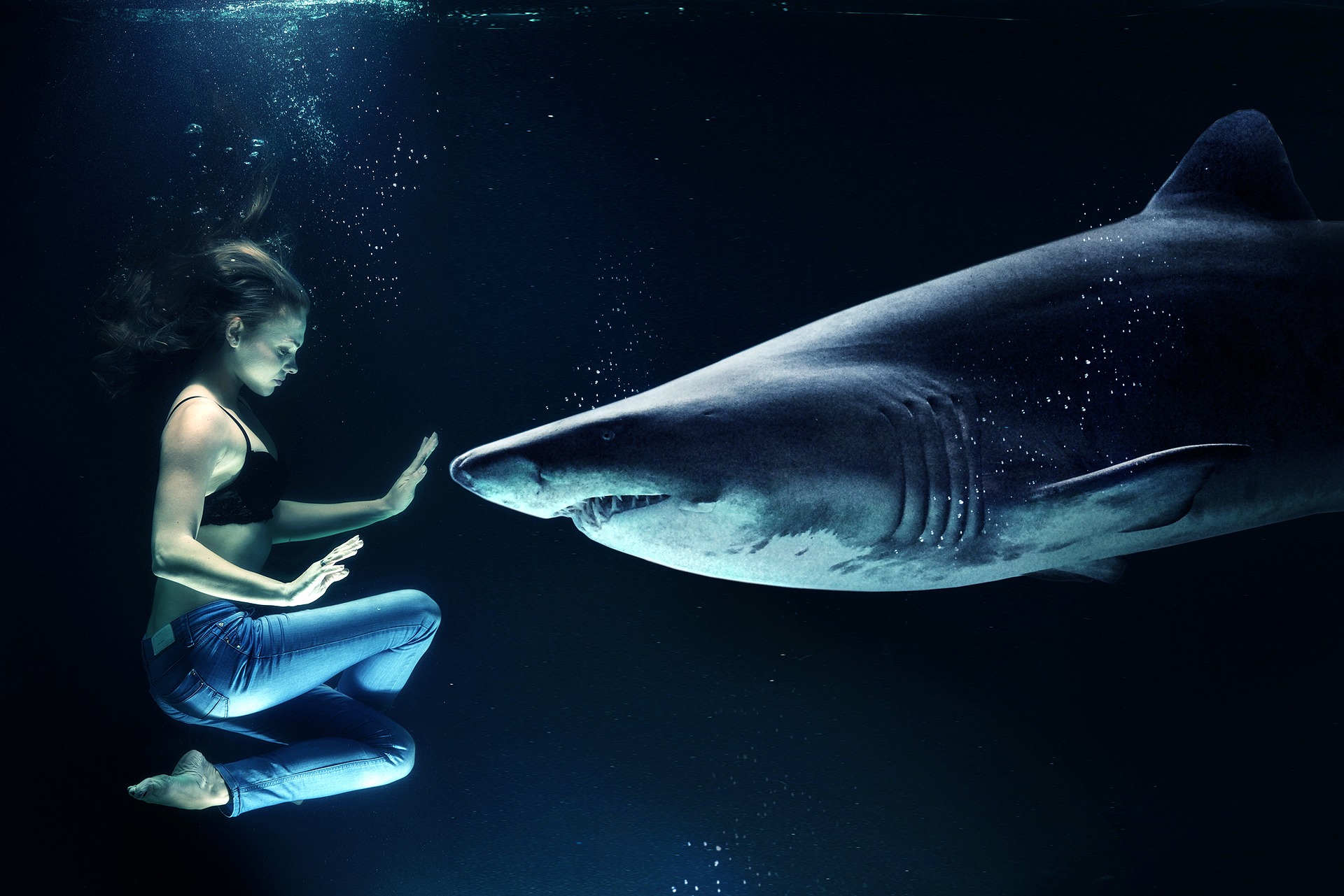 Woman with a shark